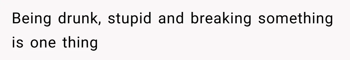 Being drunk, stupid and breaking something is one thing