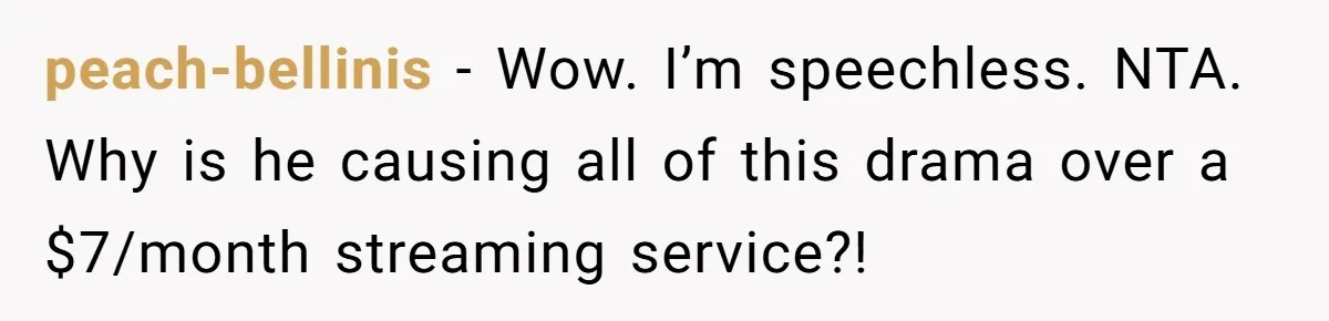 peach-bellinis − Wow. I’m speechless. NTA. Why is he causing all of this drama over a $7/month streaming service?!