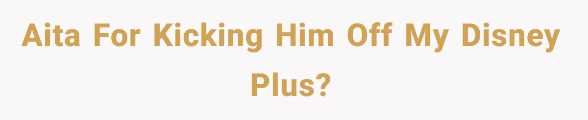 AITA for kicking him off my disney plus?