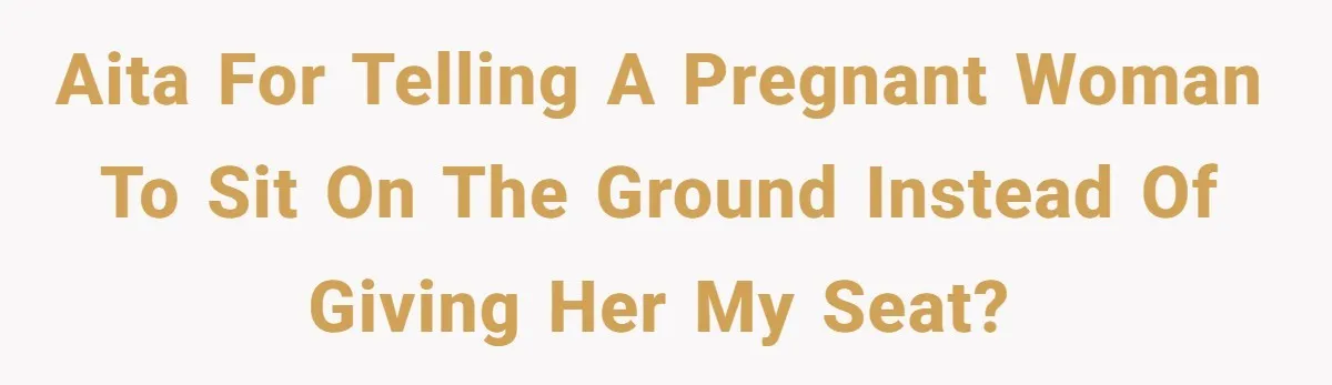AITA for telling a pregnant woman to sit on the ground instead of giving her my seat?