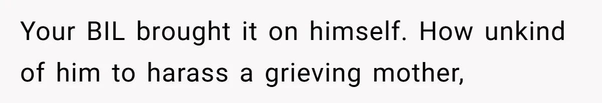 Your BIL brought it on himself. How unkind of him to harass a grieving mother,