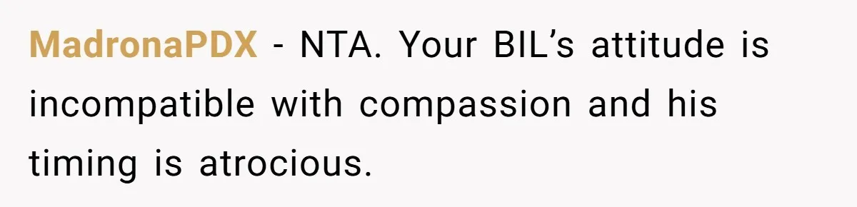 MadronaPDX − NTA. Your BIL’s attitude is incompatible with compassion and his timing is atrocious.