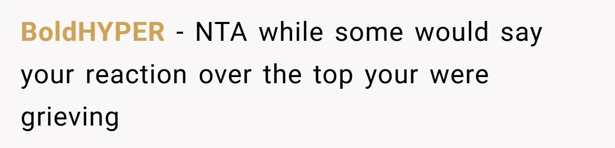 BoldHYPER − NTA while some would say your reaction over the top your were grieving