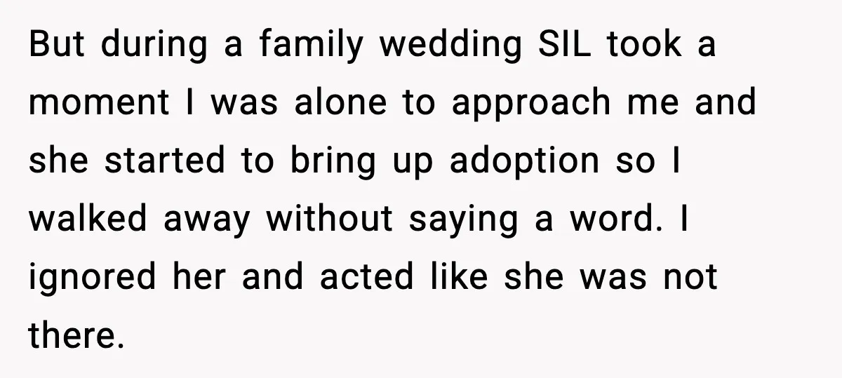 But during a family wedding SIL took a moment I was alone to approach me and she started to bring up adoption so I walked away without saying a word....