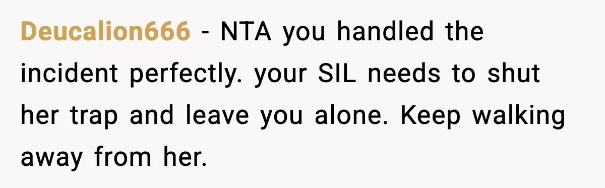 Deucalion666 - NTA you handled the incident perfectly. your SIL needs to shut her trap and leave you alone. Keep walking away from her.
