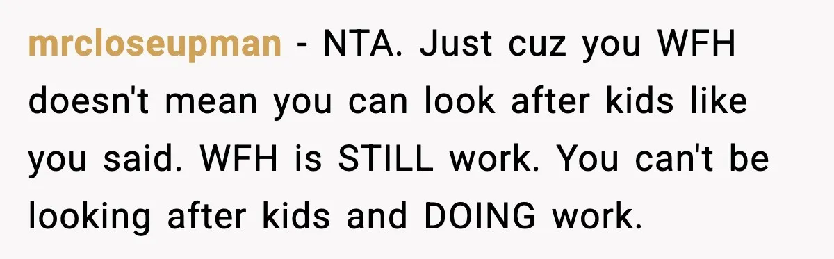 mrcloseupman - NTA. Just cuz you WFH doesn't mean you can look after kids like you said. WFH is STILL work. You can't be looking after kids and DOING work.