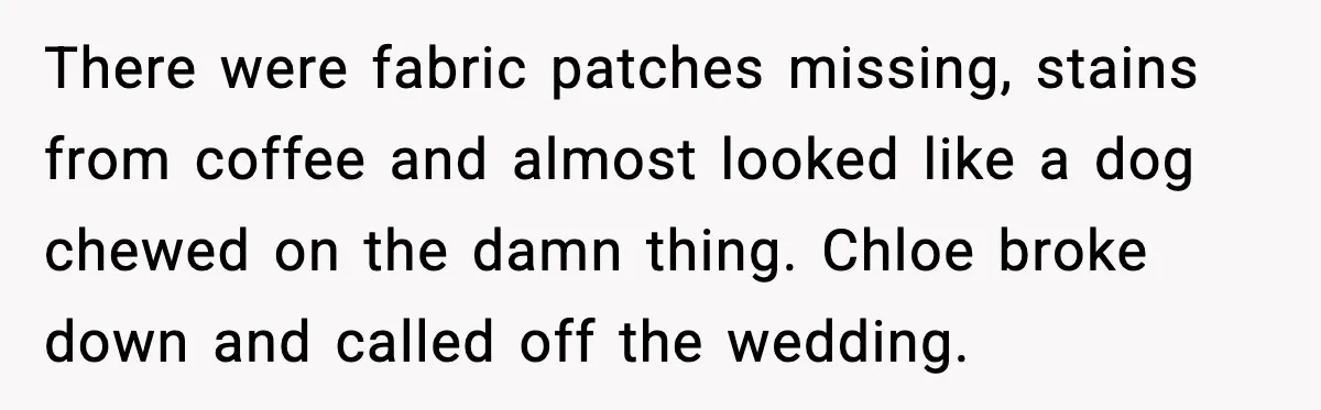 There were fabric patches missing, stains from coffee and almost looked like a dog chewed on the damn thing. Chloe broke down and called off the wedding.