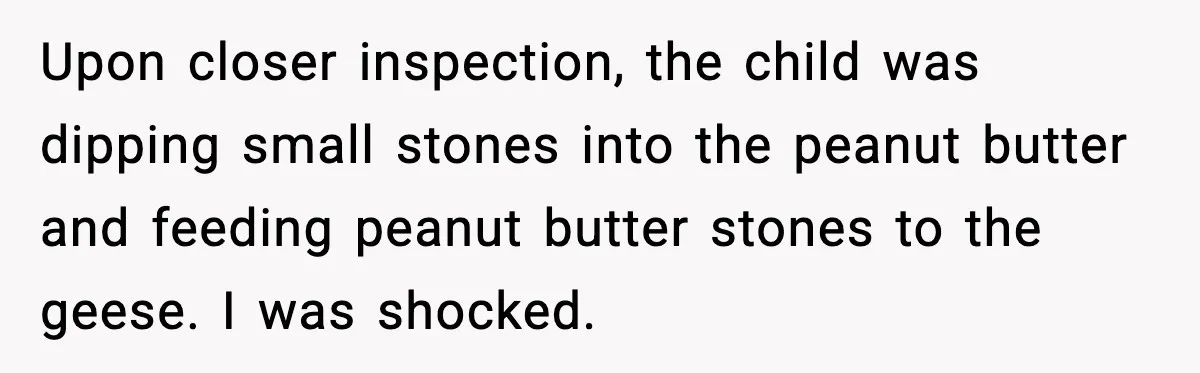 Upon closer inspection, the child was dipping small stones into the peanut butter and feeding peanut butter stones to the geese. I was shocked.