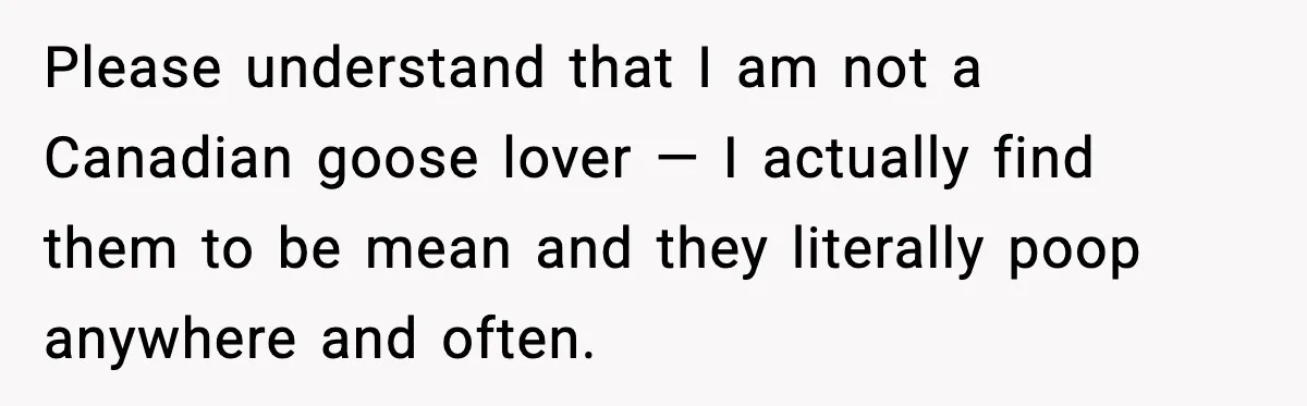 Please understand that I am not a Canadian goose lover — I actually find them to be mean and they literally poop anywhere and often.