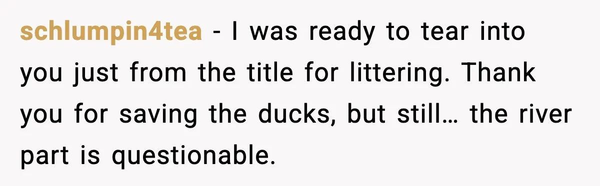 schlumpin4tea - I was ready to tear into you just from the title for littering. Thank you for saving the ducks, but still… the river part is questionable.