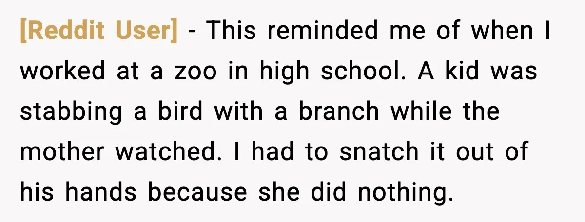 [Reddit User] - This reminded me of when I worked at a zoo in high school. A kid was stabbing a bird with a branch while the mother watched. I...