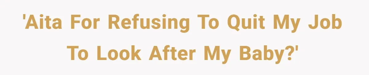 'AITA for refusing to quit my job to look after my baby?'