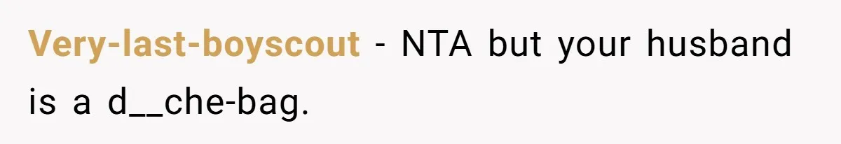 Very-last-boyscout − NTA but your husband is a d__che-bag.
