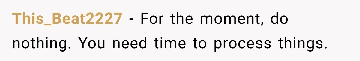 This_Beat2227 − For the moment, do nothing. You need time to process things.