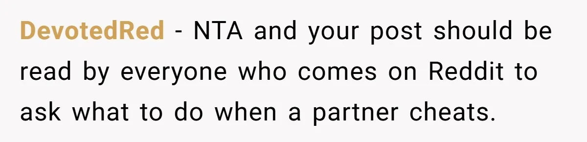 DevotedRed − NTA and your post should be read by everyone who comes on Reddit to ask what to do when a partner cheats.