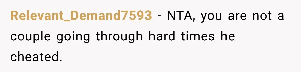 Relevant_Demand7593 − NTA, you are not a couple going through hard times he cheated.