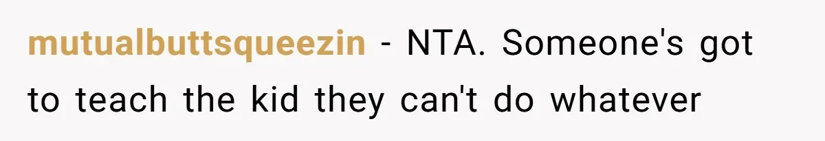 mutualbuttsqueezin − NTA. Someone's got to teach the kid they can't do whatever