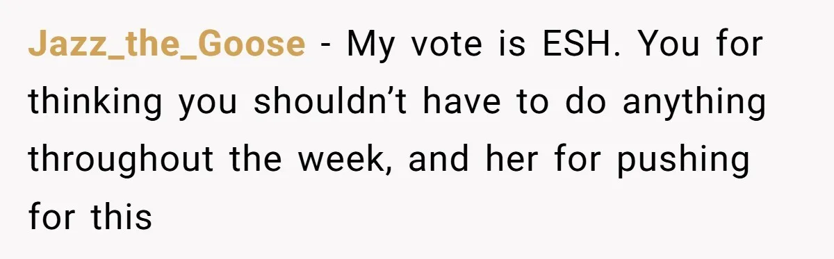Wife Wants To Quit Her Job, Husband Says Fine But She Must Cover All The Chores Jazz_the_Goose − My vote is ESH. You for thinking you shouldn’t have to do anything throughout the week, and her for pushing for this