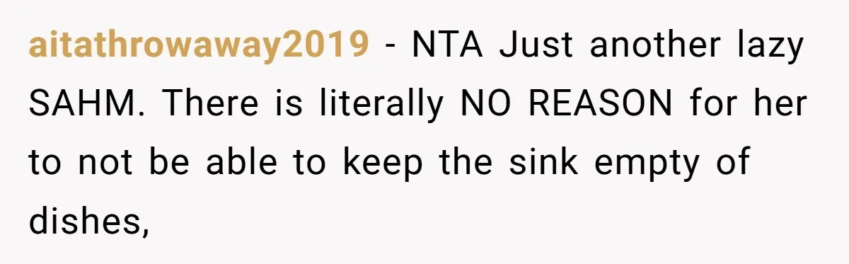 Wife Wants To Quit Her Job, Husband Says Fine But She Must Cover All The Chores aitathrowaway2019 − NTA Just another lazy SAHM. There is literally NO REASON for her to not be able to keep the sink empty of dishes,