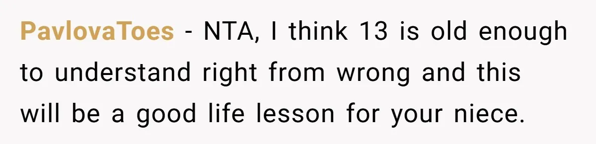 PavlovaToes − NTA, I think 13 is old enough to understand right from wrong and this will be a good life lesson for your niece.