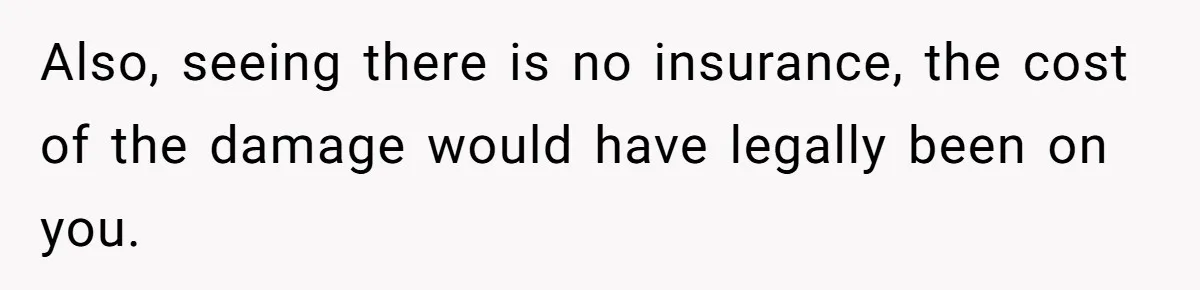 Also, seeing there is no insurance, the cost of the damage would have legally been on you.