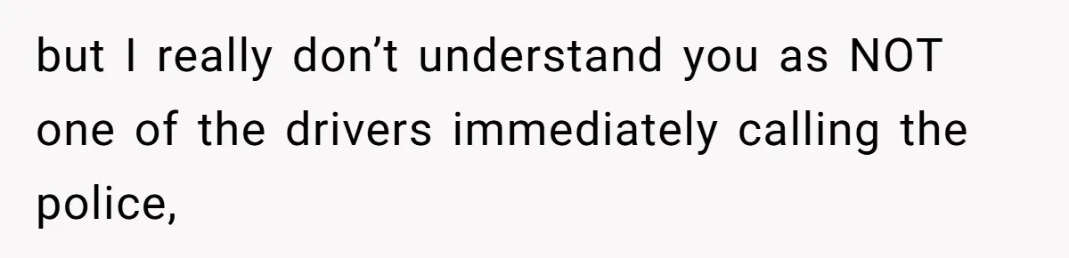 but I really don’t understand you as NOT one of the drivers immediately calling the police,