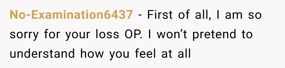 Daughter Kicks Out Her Dad After He Tries To Name His Unborn Twins After Her Deceased Siblings No-Examination6437 − First of all, I am so sorry for your loss OP. I won’t pretend to understand how you feel at all