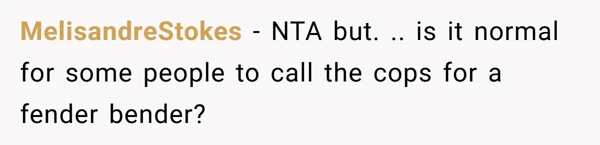 MelisandreStokes − NTA but. .. is it normal for some people to call the cops for a fender bender?