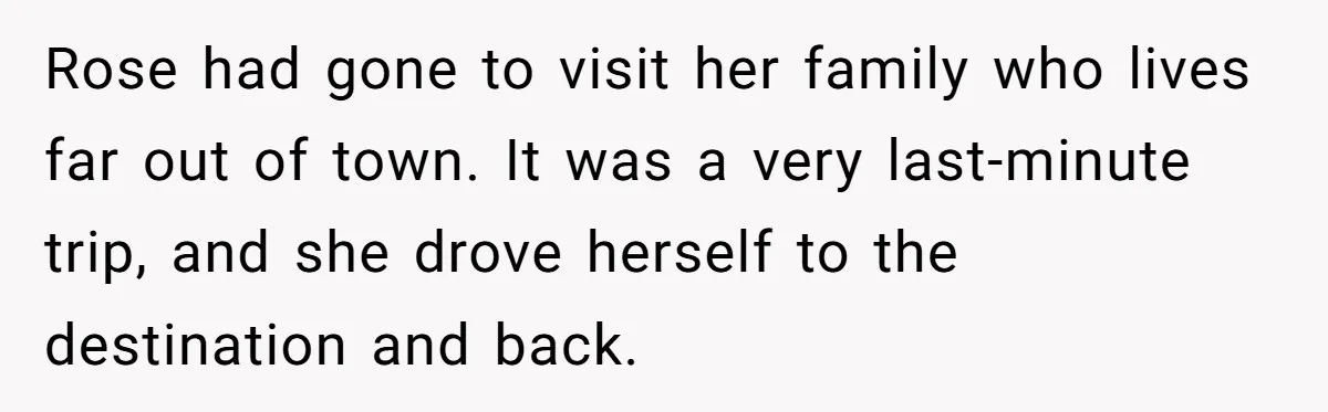 Rose had gone to visit her family who lives far out of town. It was a very last-minute trip, and she drove herself to the destination and back.