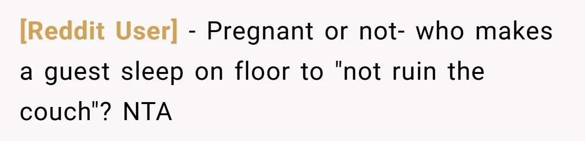 [Reddit User] − Pregnant or not- who makes a guest sleep on floor to "not ruin the couch"? NTA