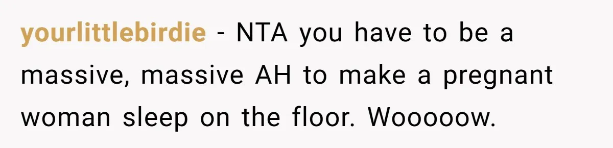 yourlittlebirdie − NTA you have to be a massive, massive AH to make a pregnant woman sleep on the floor. Wooooow.