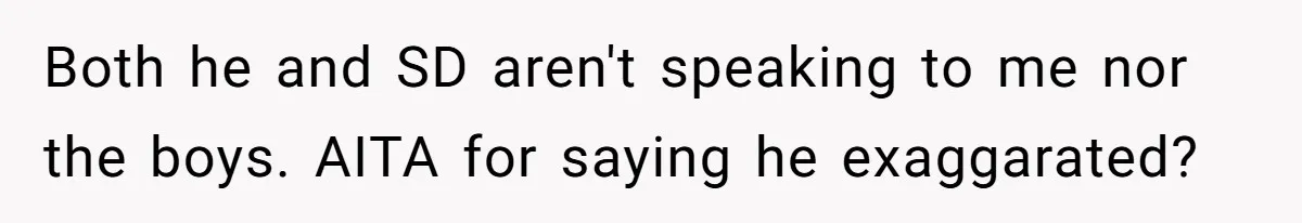 Both he and SD aren't speaking to me nor the boys. AITA for saying he exaggarated?