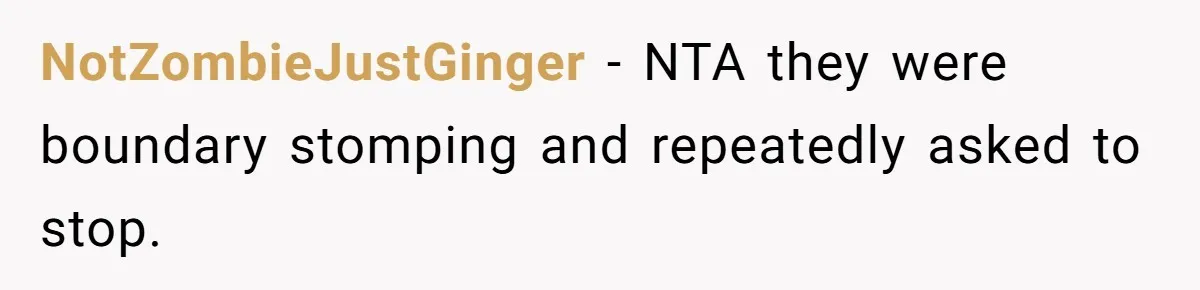 NotZombieJustGinger − NTA they were boundary stomping and repeatedly asked to stop.