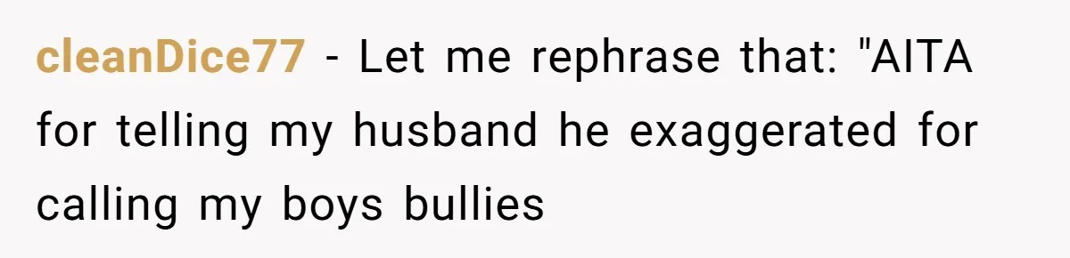 cleanDice77 − Let me rephrase that: "AITA for telling my husband he exaggerated for calling my boys bullies