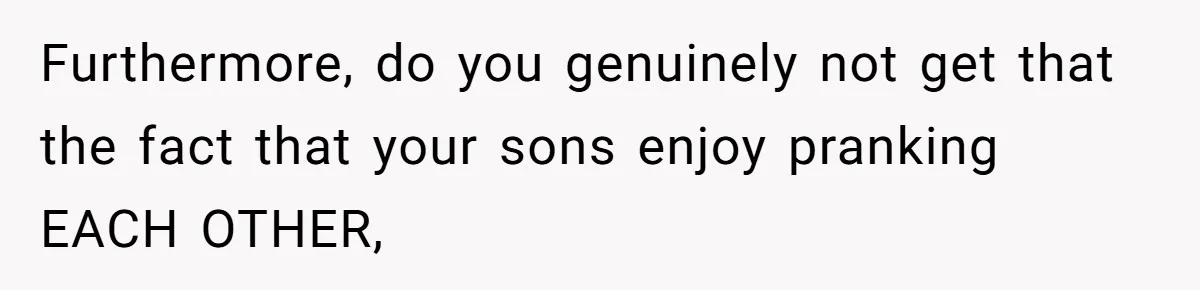 Furthermore, do you genuinely not get that the fact that your sons enjoy pranking EACH OTHER,