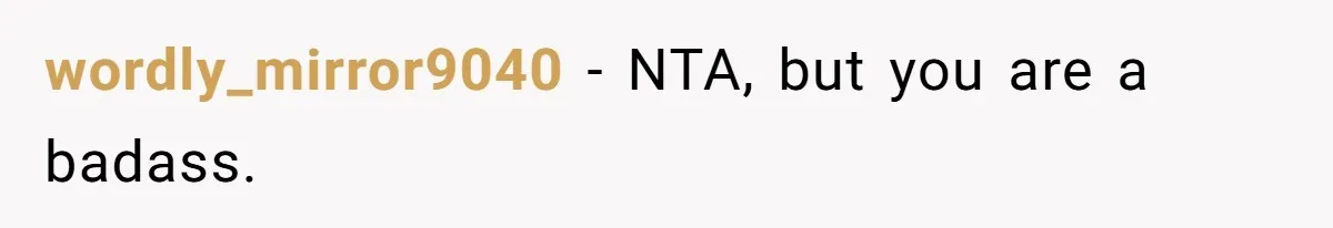 wordly_mirror9040 − NTA, but you are a badass.