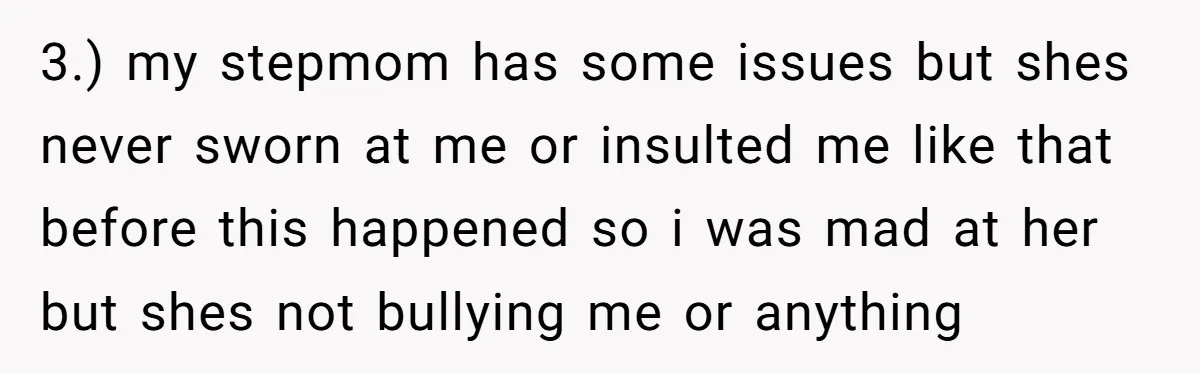 3.) my stepmom has some issues but shes never sworn at me or insulted me like that before this happened so i was mad at her but shes not bullying...