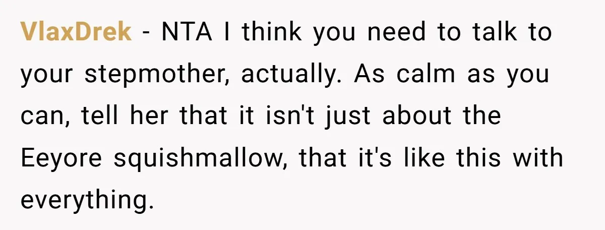 VlaxDrek − NTA I think you need to talk to your stepmother, actually. As calm as you can, tell her that it isn't just about the Eeyore squishmallow, that it's...
