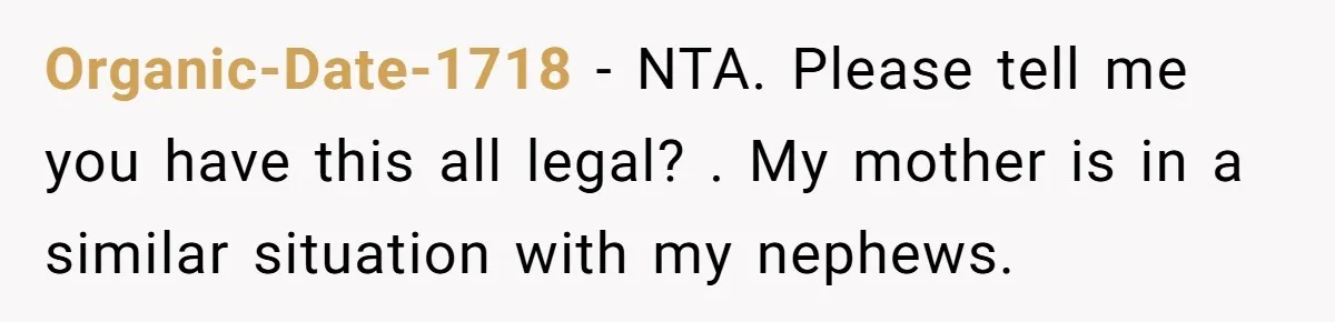 Organic-Date-1718 − NTA. Please tell me you have this all legal? . My mother is in a similar situation with my nephews.