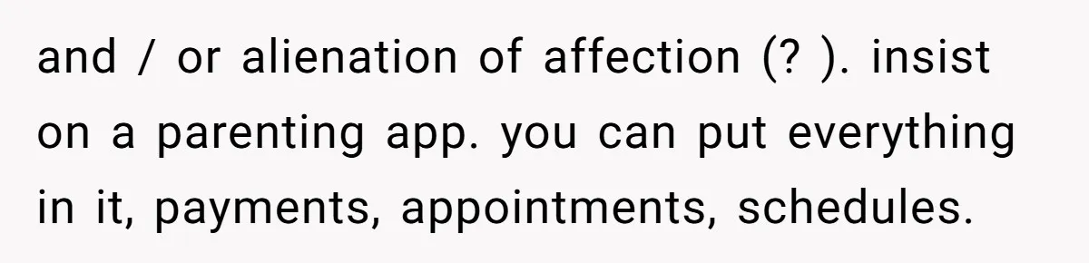 and / or alienation of affection (? ). insist on a parenting app. you can put everything in it, payments, appointments, schedules.
