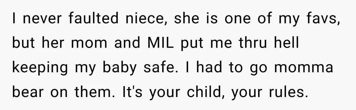 I never faulted niece, she is one of my favs, but her mom and MIL put me thru hell keeping my baby safe. I had to go momma bear on...
