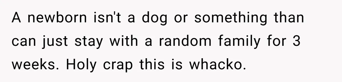 A newborn isn't a dog or something than can just stay with a random family for 3 weeks. Holy crap this is whacko.