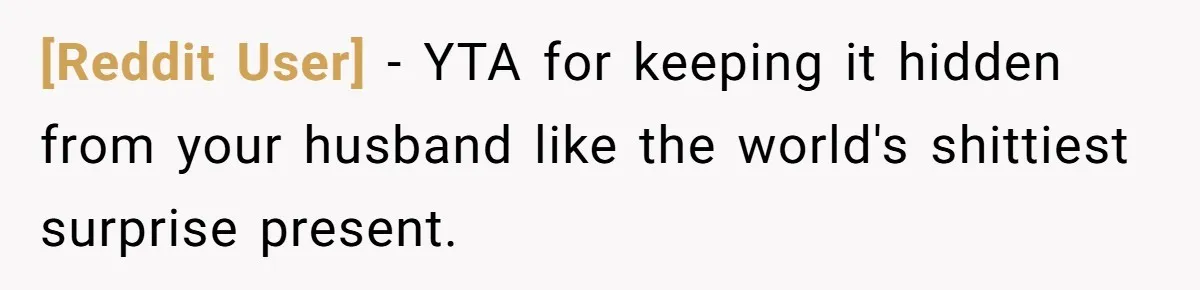 [Reddit User] − YTA for keeping it hidden from your husband like the world's shittiest surprise present.