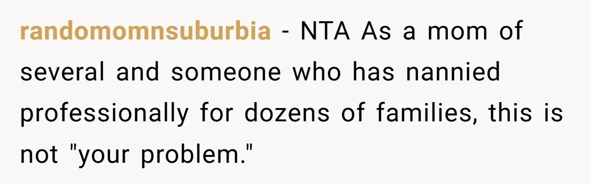 randomomnsuburbia − NTA As a mom of several and someone who has nannied professionally for dozens of families, this is not "your problem."