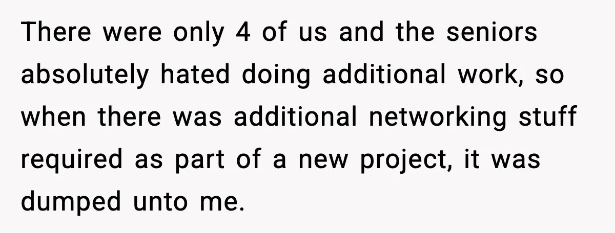 There were only 4 of us and the seniors absolutely hated doing additional work, so when there was additional networking stuff required as part of a new project, it was...