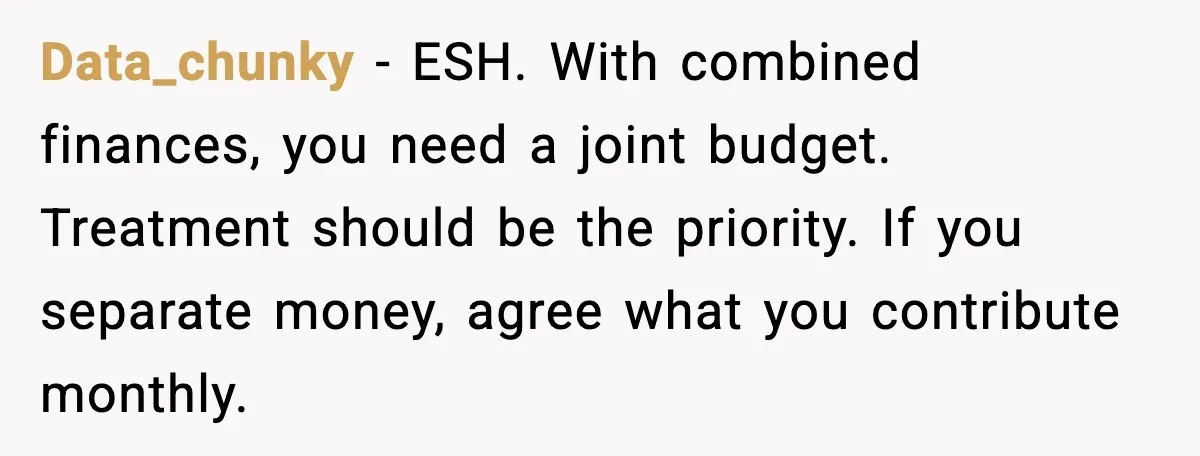 Data_chunky - ESH. With combined finances, you need a joint budget. Treatment should be the priority. If you separate money, agree what you contribute monthly.