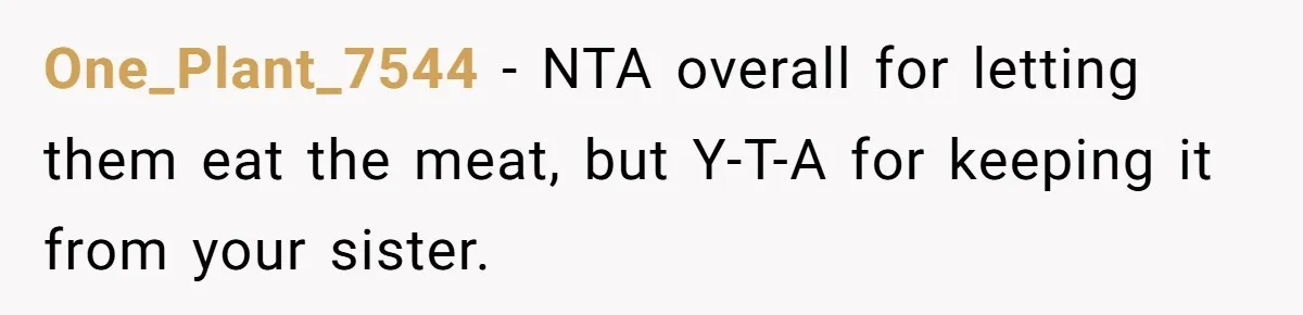 One_Plant_7544 − NTA overall for letting them eat the meat, but Y-T-A for keeping it from your sister.