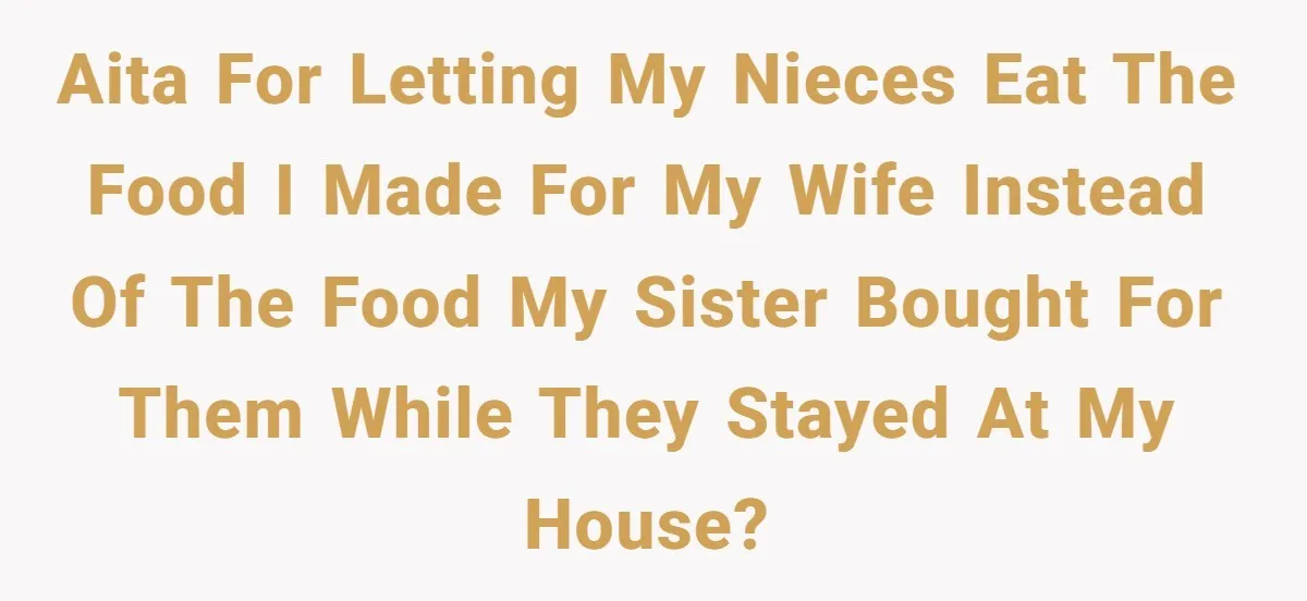AITA for letting my nieces eat the food I made for my wife instead of the food my sister bought for them while they stayed at my house?
