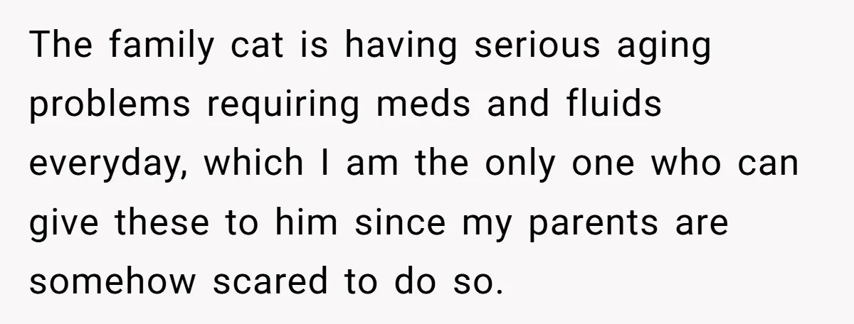 The family cat is having serious aging problems requiring meds and fluids everyday, which I am the only one who can give these to him since my parents are somehow...