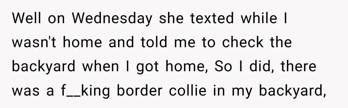 Well on Wednesday she texted while I wasn't home and told me to check the backyard when I got home, So I did, there was a f__king border collie in...